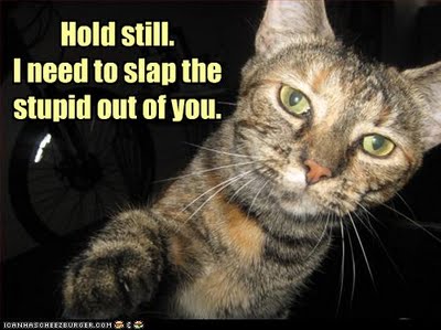 [Image: palin-cat-slap-the-stupid-out-of-you.jpg]